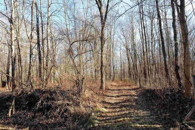 Plot For Sale In Lakeville, Indiana
