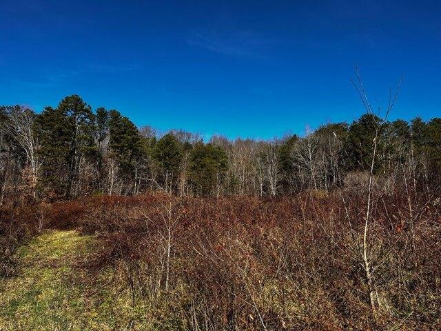 Plot For Sale In Woodbine, Kentucky