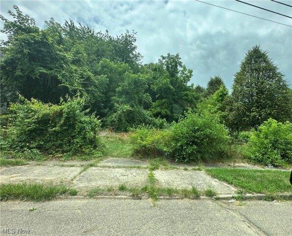Plot For Sale In Akron, Ohio