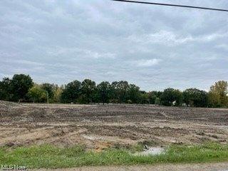 Plot For Sale In Avon, Ohio