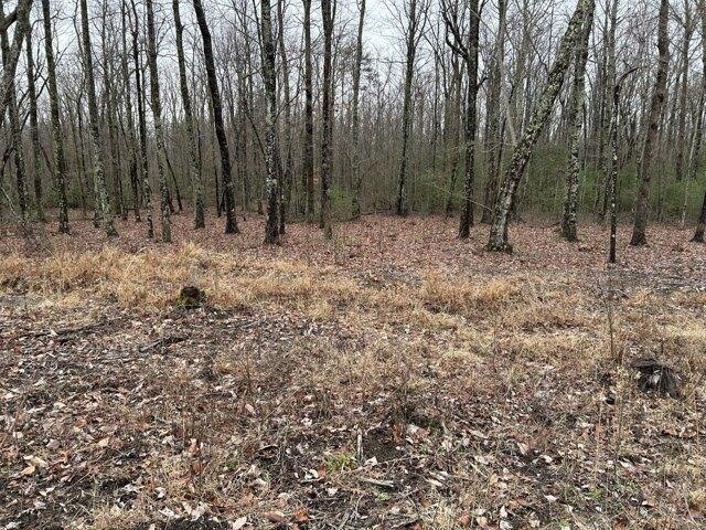 Plot For Sale In Sparta, Tennessee