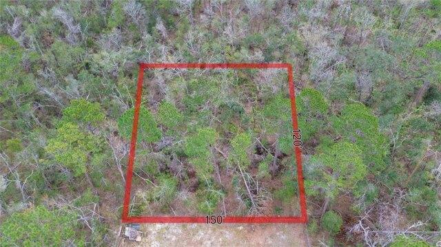 Plot For Sale In Dowling Park, Florida