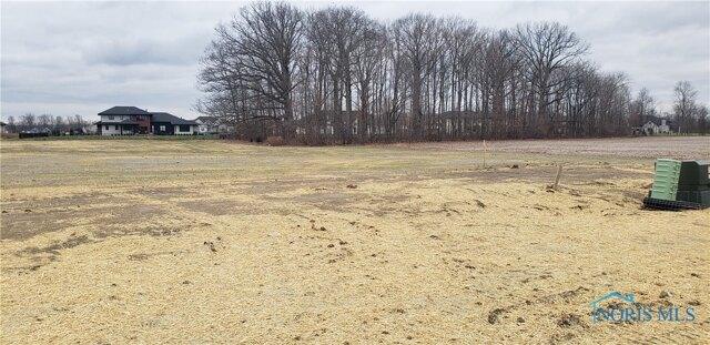 Plot For Sale In Sylvania, Ohio