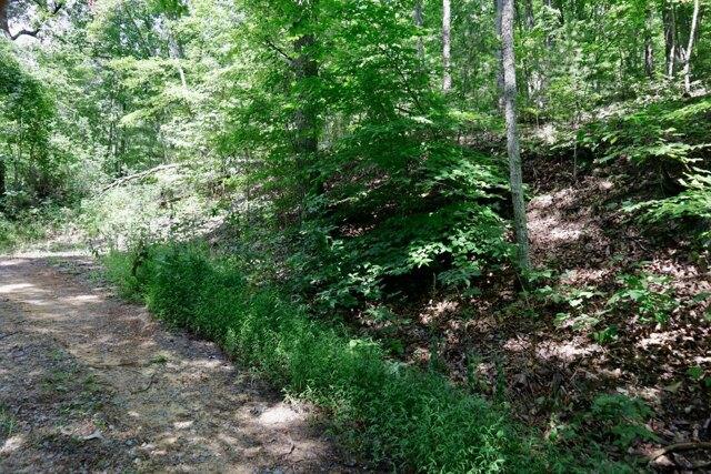 Plot For Sale In Mooresburg, Tennessee