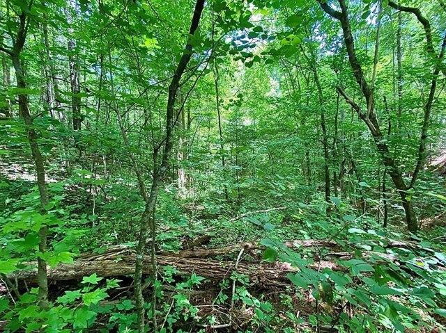 Plot For Sale In Del Rio, Tennessee