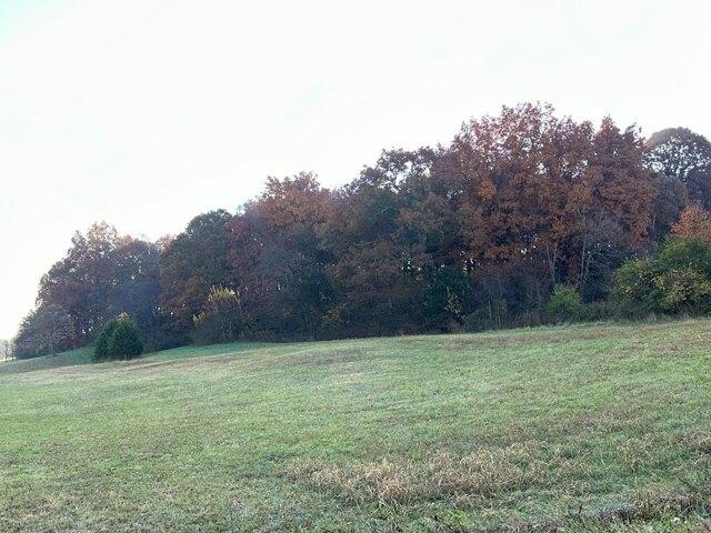 Plot For Sale In Jefferson City, Tennessee