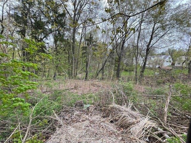 Plot For Sale In Wadsworth, Ohio