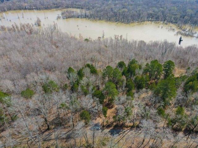 Plot For Sale In Adamsville, Tennessee