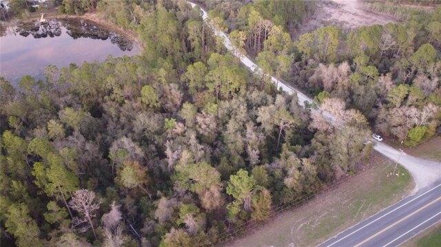 Plot For Sale In Silver Springs, Florida