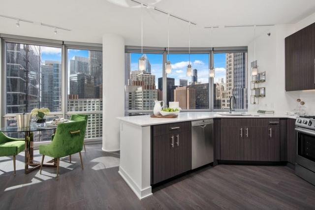 0 bedroom in Chicago IL 60611 for Rent