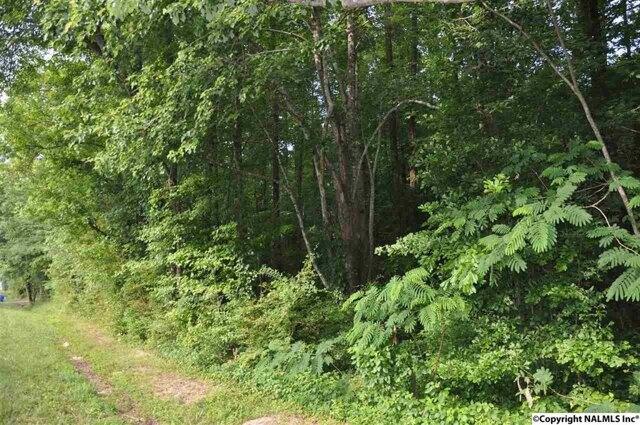 Plot For Sale In Arab, Alabama