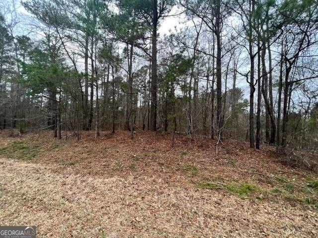 Plot For Sale In Sparta, Georgia