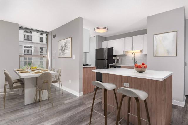 0 bedroom in Chicago IL 60601 for Rent