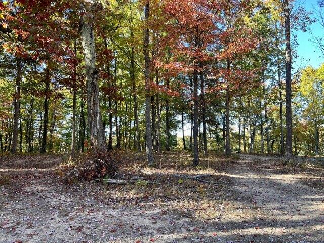 Plot For Sale In Monteagle, Tennessee