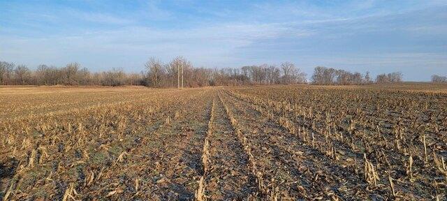 Plot For Sale In Washington, Indiana