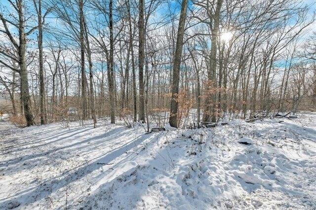 Plot For Sale In Plattekill, New York