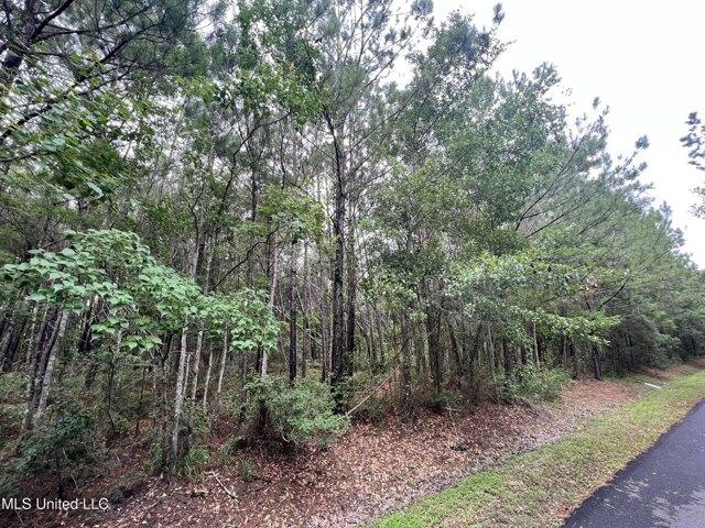 Plot For Sale In Bay Saint Louis, Mississippi
