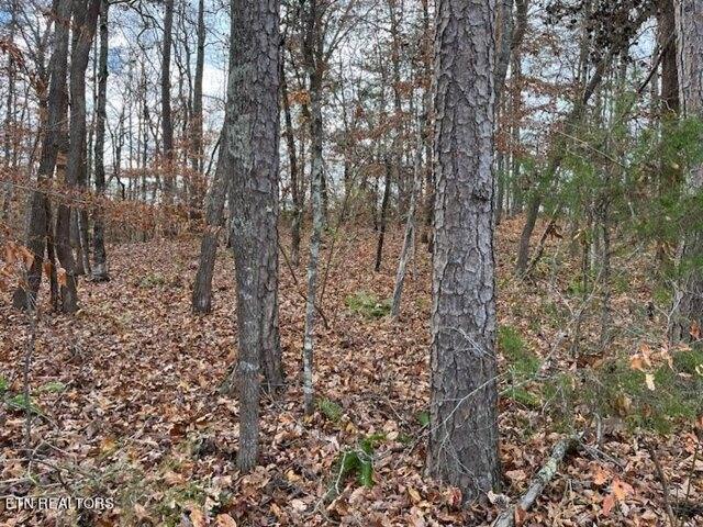Plot For Sale In La Follette, Tennessee