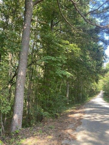 Plot For Sale In Vina, Alabama