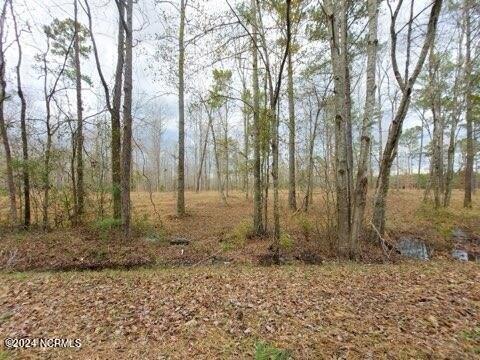 Plot For Sale In Vanceboro, North Carolina