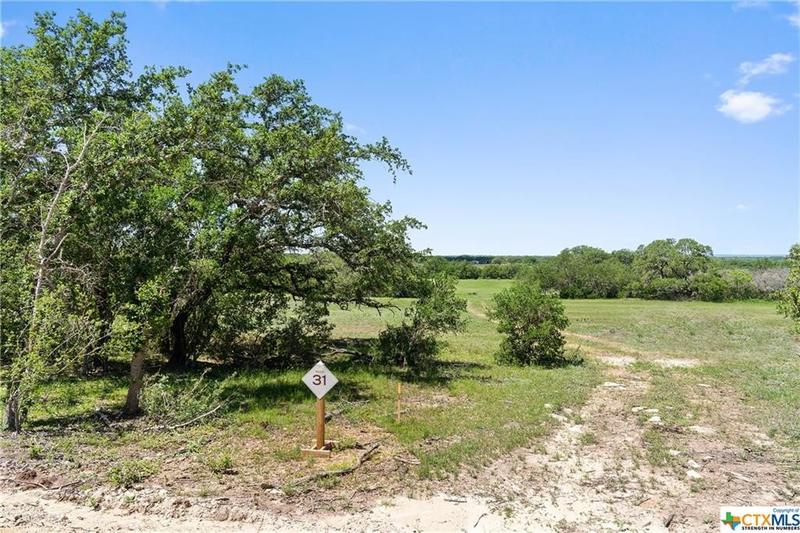 Tract 31 Red Bud Ranch Road, Johnson City, TX 78636 for Sale