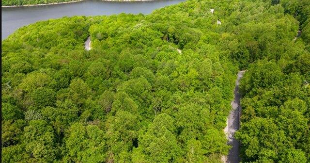 Plot For Sale In Smithville, Tennessee