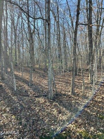 Plot For Sale In Crossville, Tennessee