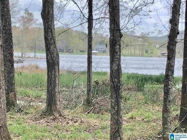 Plot For Sale In Sylacauga, Alabama