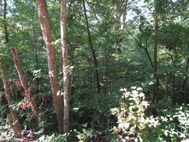 Plot For Sale In Celina, Tennessee