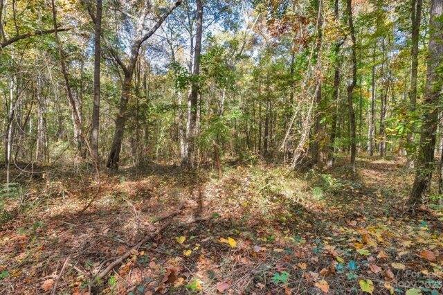 Plot For Sale In Indian Land, South Carolina