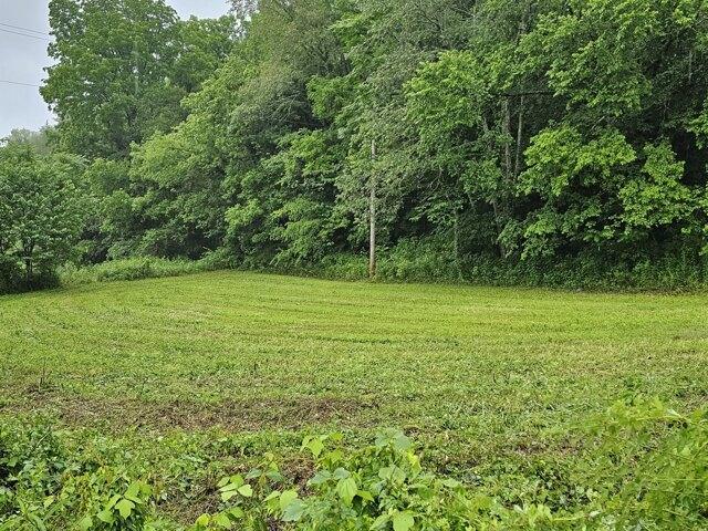 Plot For Sale In Woodbury, Tennessee
