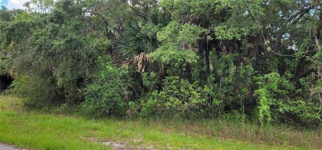 Plot For Sale In Port Charlotte, Florida
