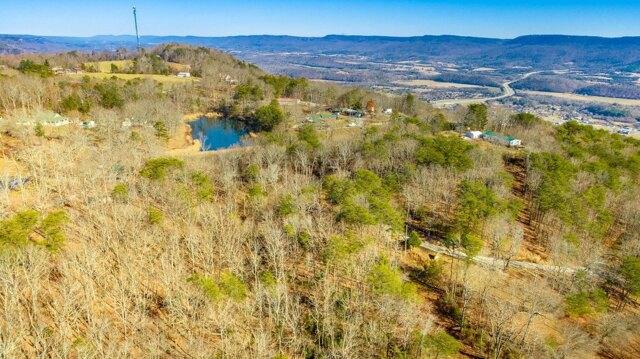 Plot For Sale In Dunlap, Tennessee