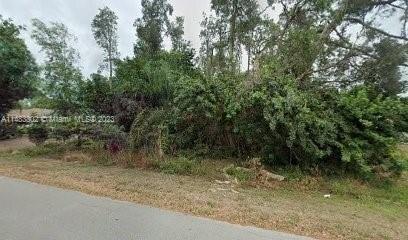 Plot For Sale In Fort Myers, Florida