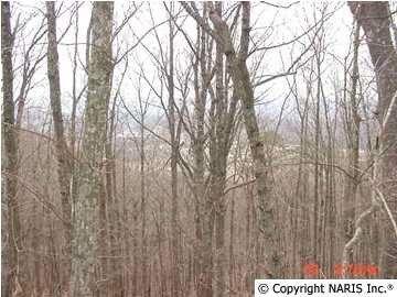 Plot For Sale In Fort Payne, Alabama