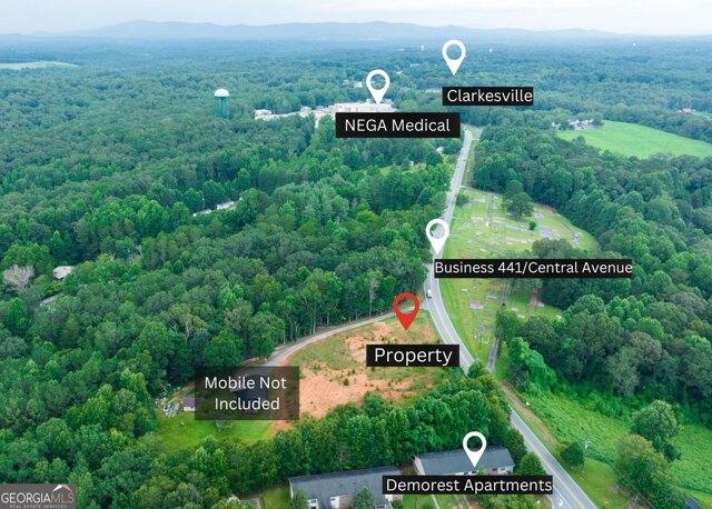 Plot For Sale In Demorest, Georgia