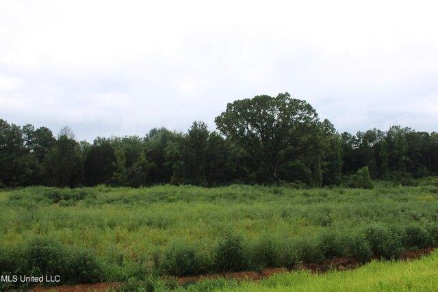 Plot For Sale In Byhalia, Mississippi