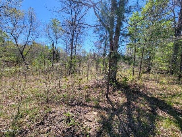 Plot For Sale In Deer Lodge, Tennessee