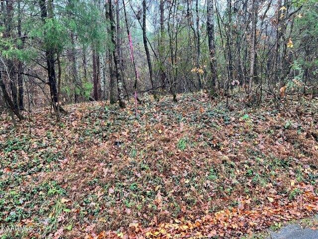 Plot For Sale In Decatur, Tennessee