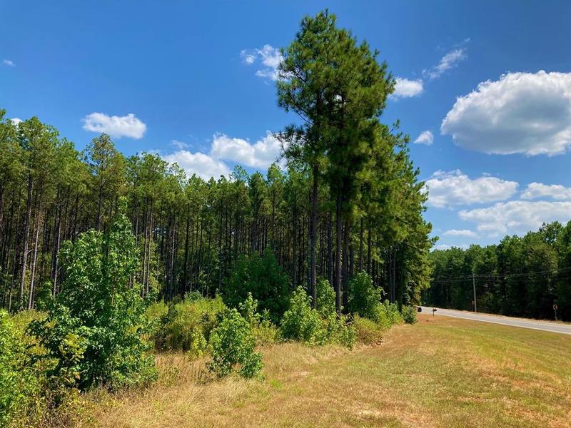 13886 Highway 157, Haughton, LA 71037 for Sale
