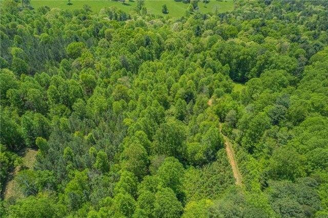 Plot For Sale In Dawsonville, Georgia