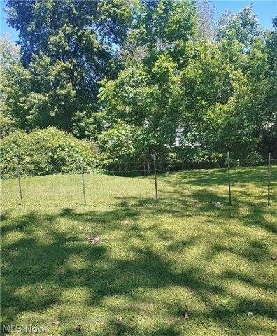 Plot For Sale In Madison, Ohio