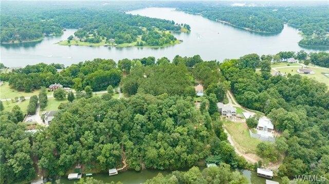 Plot For Sale In Northport, Alabama