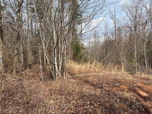 Plot For Sale In Newport, Tennessee