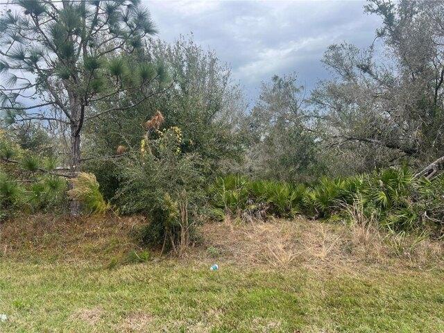 Plot For Sale In Punta Gorda, Florida