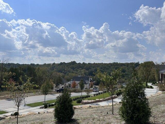 Plot For Sale In College Grove, Tennessee