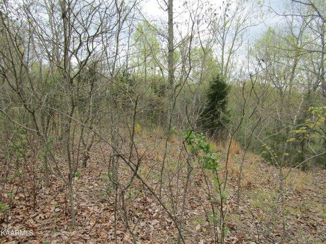Plot For Sale In Celina, Tennessee