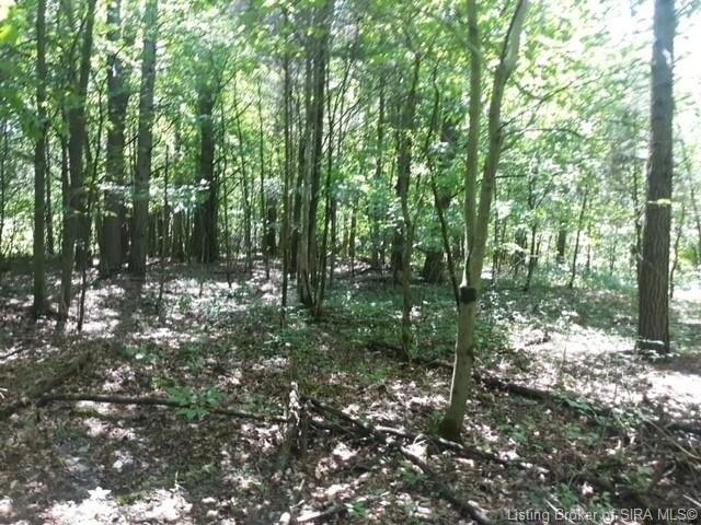 Plot For Sale In Lexington, Indiana