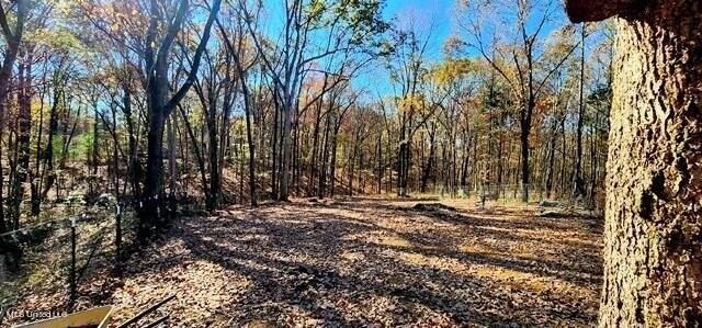 Plot For Sale In Sardis, Mississippi