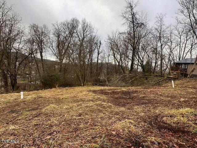 Plot For Sale In Bristol, Virginia